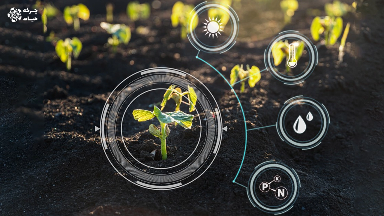 نقش استارتاپ هل و شرکت دانش بنیان در کشاورزی شهری یا خانگی چرخه حیات
