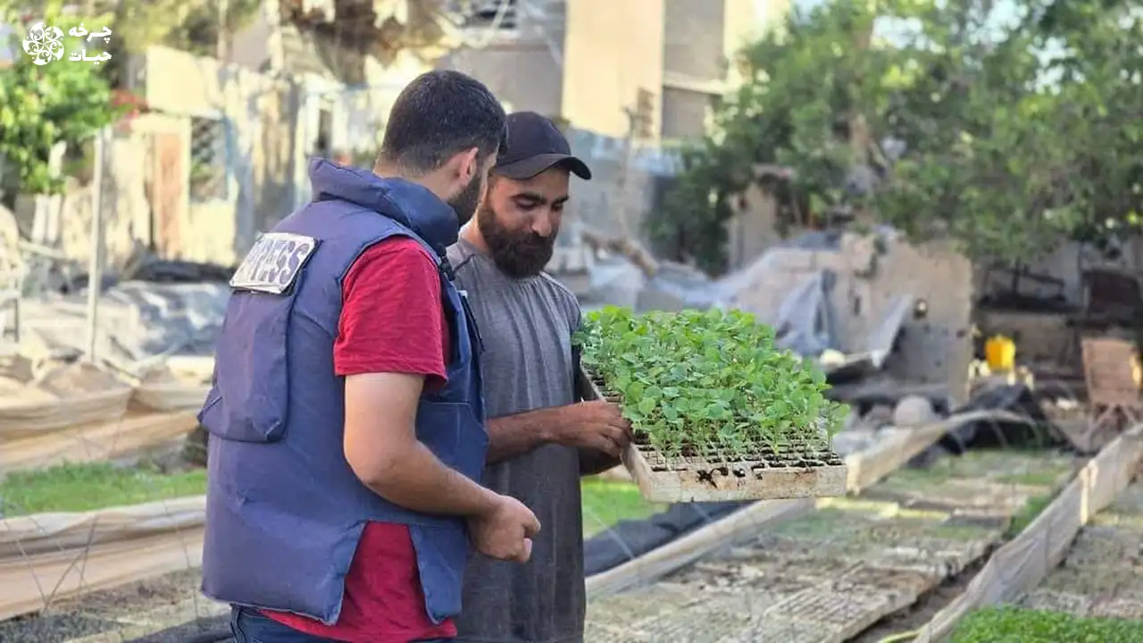 غزه مهندس کشاورزی قحطی و گرسنگی کاشت بذر فلسطین سایت چرخه حیات