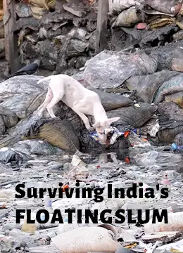 دانلود مستند بقا در زاغه شناور هند | Surviving India's Floating Slum